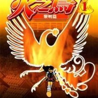 火之鳥圖片照片_火之鳥