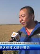 遼寧新聞最新一期線上看_全集完整版高清線上看 - 蟲蟲綜藝
