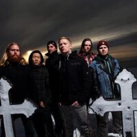 Purified In Blood圖片照片_Purified In Blood