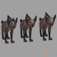 Hyena圖片照片_Hyena