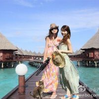安九&Zhucool圖片照片_安九&Zhucool