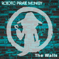 Robotic Pirate Monkey圖片照片_Robotic Pirate Monkey