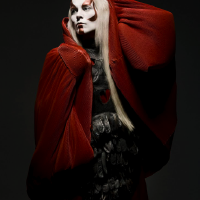 Fever Ray圖片照片_Fever Ray