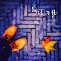 獨雨漫步