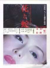 杉本彩演過的電影電視劇線上看_影視作品大全_好看的明星