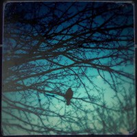 Dom Mino圖片照片_Dom Mino
