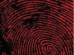 Hoobastank歌曲歌詞大全_Hoobastank最新歌曲歌詞