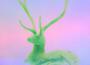Raving Sugar專輯_BDM MéxicoRaving Sugar最新專輯