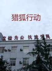 獵狐行動線上看_高清完整版線上看_好看的電影