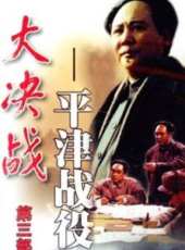 大決戰3:平津戰役(上)線上看_高清完整版線上看_好看的電影