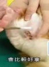 小孩很忙最新一期線上看_全集完整版高清線上看_好看的綜藝