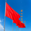 閃定春