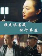 最新2017內地冒險電影_2017內地冒險電影大全/排行榜_好看的電影
