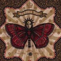 Blind Divine圖片照片_Blind Divine