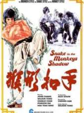 唐偉成演過的電影電視劇線上看_影視作品大全_好看的明星