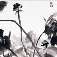 王天圖片照片_王天