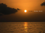 Endless Summer專輯_FenneszEndless Summer最新專輯