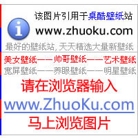 Leehom圖片照片_Leehom