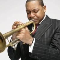 Wynton Marsalis圖片照片_Wynton Marsalis