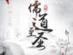 活在當下《血色蒼穹》動漫片尾曲歌詞_小旭音樂活在當下《血色蒼穹》動漫片尾曲歌詞