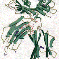 Hope Of The States圖片照片_Hope Of The States