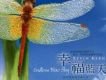 幸福藍天/Endless Blue Sk