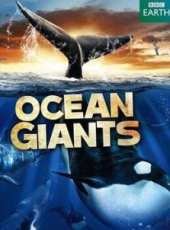 BBC：海洋巨獸線上看_全集高清完整版線上看_分集劇情介紹_好看的電視劇