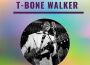 T-Bone Walker - The Best專輯_T-Bone WalkerT-Bone Walker - The Best最新專輯