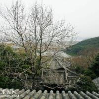 謝澤波圖片照片_謝澤波