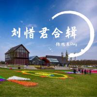陳旭東Dong圖片照片_照片寫真
