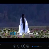 陳寶欽&柔情圖片照片_陳寶欽&柔情