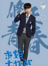 求婚大作戰線上看_全集高清完整版線上看_分集劇情介紹_好看的電視劇