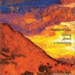 Falling Down a Mount專輯_TindersticksFalling Down a Mount最新專輯
