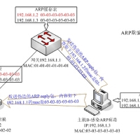 Arp圖片照片_Arp