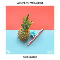 This Moment (feat. Park Avenue)專輯_LuxLyfeThis Moment (feat. Park Avenue)最新專輯