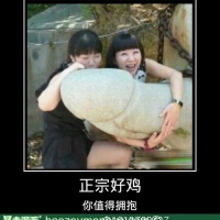 你懂的.圖片照片_你懂的.
