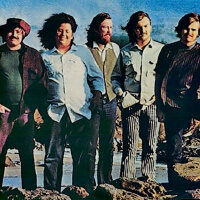 The Turtles圖片照片_The Turtles