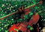 Garden Song - Mozart, Haydn, Borodin, Mendelssohn, Tchaikovsky專輯_Camilli String QuartGarden Song - Mozart, Haydn, Borodin, Mendelssohn, Tchaikovsky最新專輯