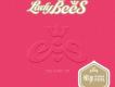 因為愛所以愛Live歌詞_Lady Bees因為愛所以愛Live歌詞