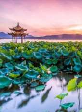 2019最新大陸盛會綜藝節目大全/排行榜 - 蟲蟲綜藝