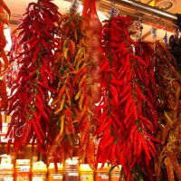紅紅的 辣椒圖片照片_紅紅的 辣椒