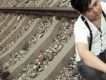楊青歌曲歌詞大全_楊青最新歌曲歌詞