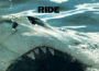 Today Forever專輯_RideToday Forever最新專輯