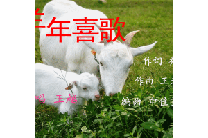 申英蘭圖片照片_申英蘭