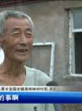 遼寧新聞最新一期線上看_全集完整版高清線上看 - 蟲蟲綜藝