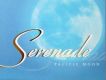 Serenade 夜曲