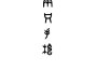 兩隻手槍