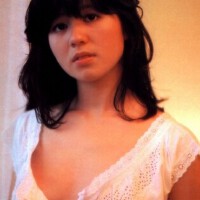石野真子圖片照片_石野真子