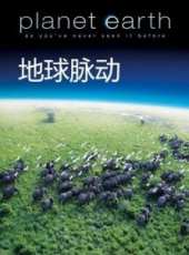 桃花依舊笑春風線上看_全集高清完整版線上看_分集劇情介紹_好看的電視劇