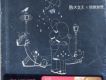 敗犬女王歌曲歌詞大全_敗犬女王最新歌曲歌詞